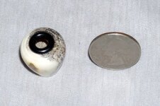 P1010036.jpg