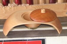 suspended bowl3.jpg