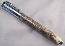 Dayton Buckeye Burl.jpg