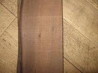 bog yew 002new.jpg
