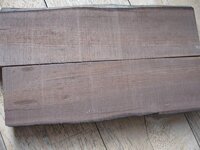 bog yew 005new.jpg