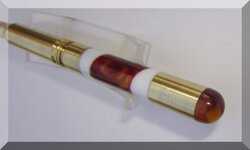 shell6.jpg
