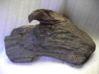 mike bog oak 002.JPG