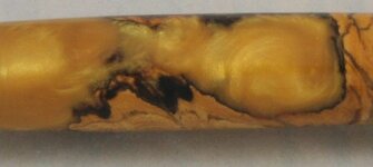 Gold Manzanita close up.jpg