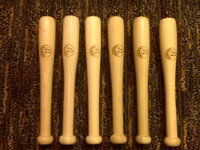 Bat pens.jpg