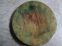 DSC01204.JPG