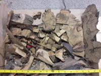 ForumRunner_20131024_181613.png