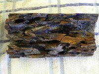DSCN0610.jpg