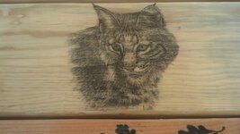 IMG_20130908_124725_517.jpg