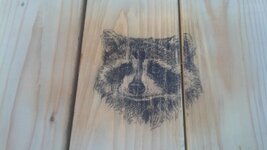 IMG_20130904_184102_221.jpg
