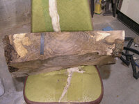 burl1.JPG