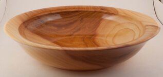 Chinese Elm Bowl 01.jpg