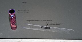 IMG_8337.jpg