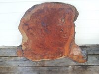 20131116_125139 (Medium).jpg