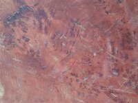 20131116_125154 (Medium).jpg