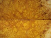 100_0881.jpg