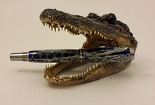 Blue Gator JG2 Black Ti.jpg