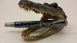 Blue Gator JG2 Black Ti 1b.jpg