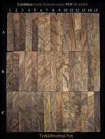 pen_blanks_Exhibition_walnut.jpg