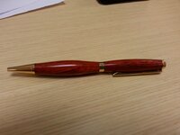 Pen 1.jpg
