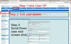 zip page 1.jpg