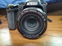 PB270008.jpg