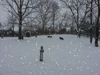20131208_124417-SNOW.jpg
