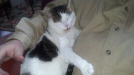 2013-12-07 09.13.53_a.jpg