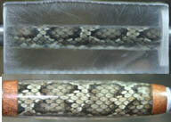 snake comparison.jpg