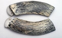 elk scales.jpg