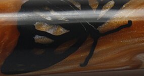 0197-butterfly-closeup.jpg