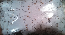 IMG_20131220_125621_956.jpg