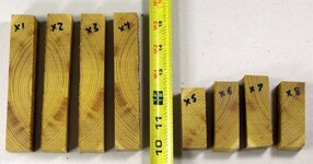 Osage Orange 3.jpg