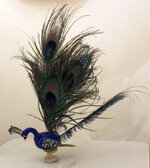 peacock.jpg