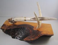 Red Stag and Stand (3).jpg