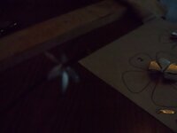 100_0511.jpg
