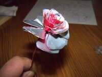 100_0514.jpg