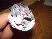 100_0513.jpg