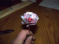 100_0515.jpg