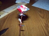 100_0516.jpg