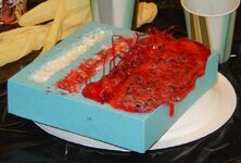 DSCN0677.JPG
