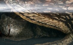 full-IMG_9178.jpg