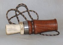 PC300311.JPG