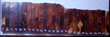 DSC_0761.jpg