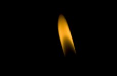 IMG_9060.jpg