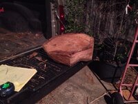 Pecan 1.jpg