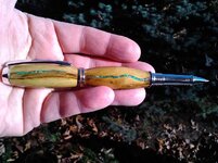 turquoise pen 4.jpg