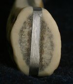 elk-endgrain.jpg