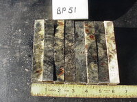 bp51a.JPG