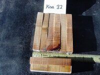 koa32a.JPG